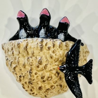 Picture of Ninho de Andorinhas